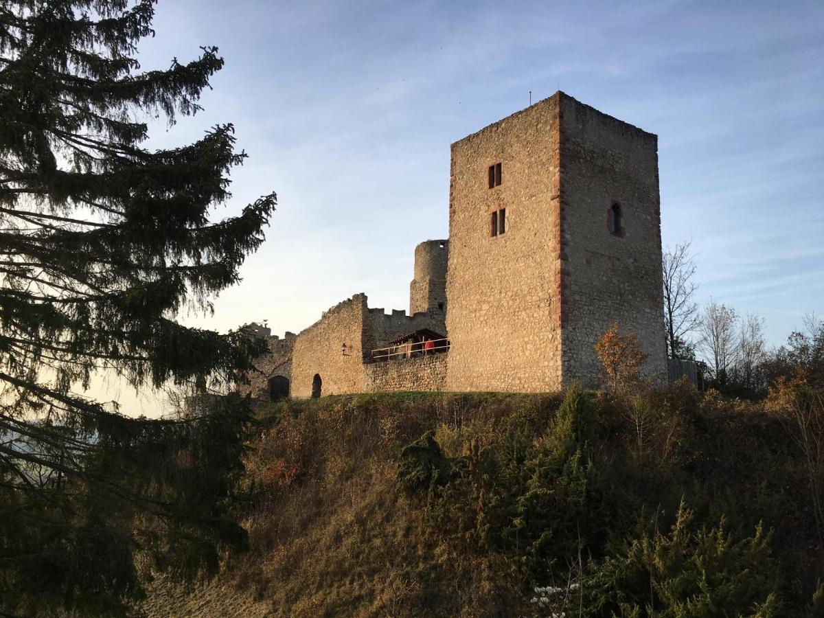 Ferienwohnungen Lausbuben&Zicken - im grünen Herzen Deutschlands Herleshausen Exterior foto